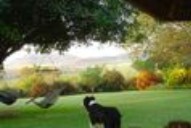 Selati 103 Guest Cottages