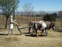 lydenburg4